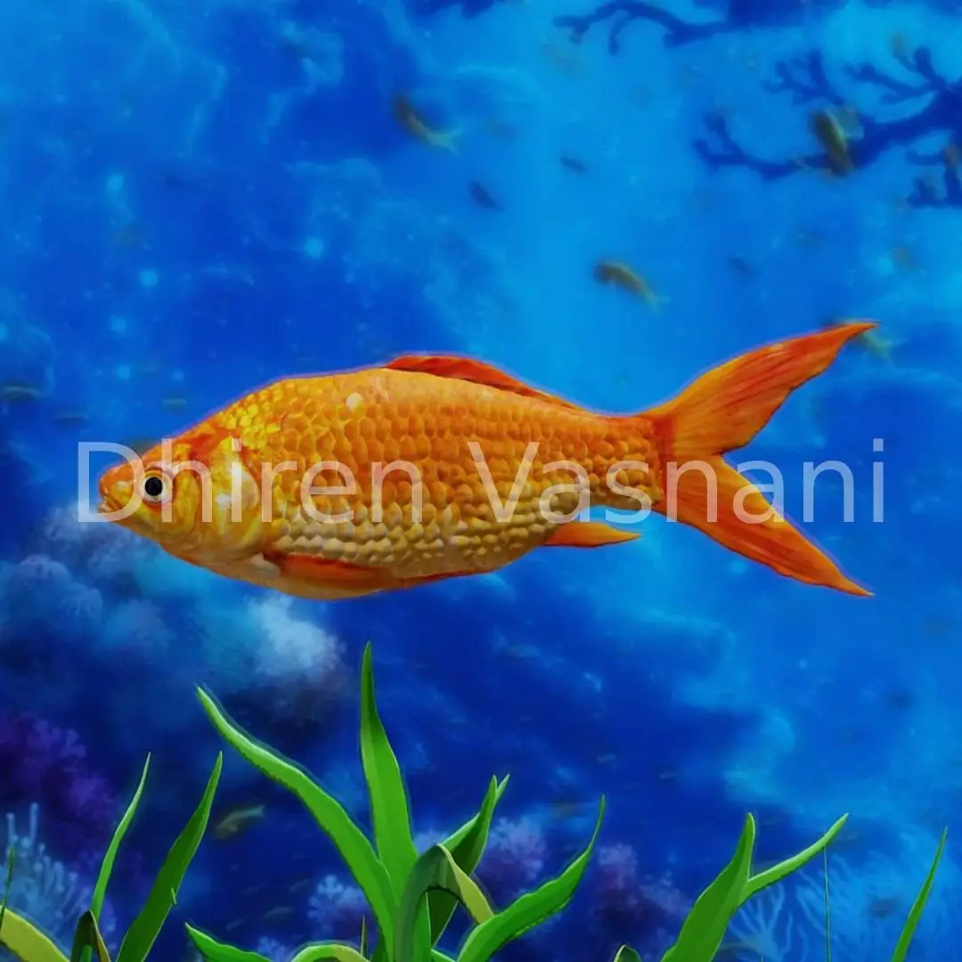 3D Render of a Fish